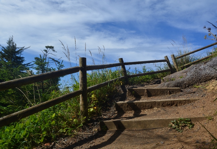 the coastal trail 